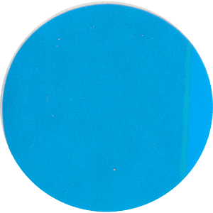 Blue Chip Optical Lens Protector